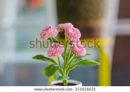 pink flowers in vase on table