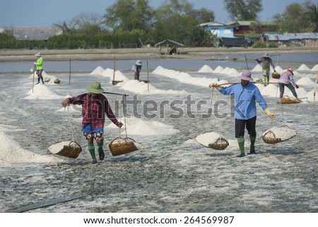 PETCHABURI- MAR 28 : Workers are helping to transport salt from salt field. Ban Laem, Phetchaburi, Thailand on March 28, 2015