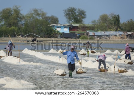 PETCHABURI- MAR 28 : Workers are helping to transport salt from salt field. Ban Laem, Phetchaburi, Thailand on March 28, 2015