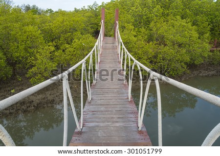 Mangrove forest with wood Walk way