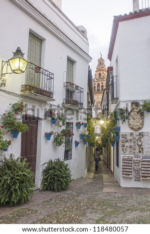 Flower Alley in Cordoba - Spain