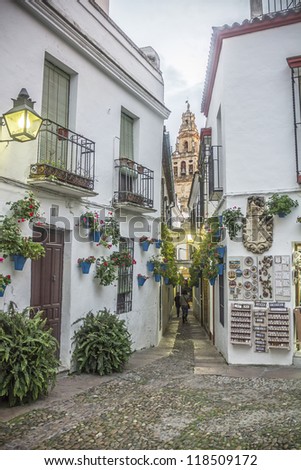 Flower Alley in Cordoba - Spain
