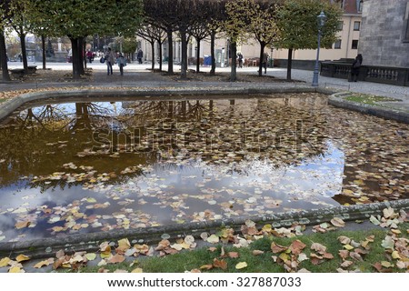 DRESDEN, GERMANY - NOVEMBER 2, 2012: A small pool of water, covered with fallen leaves in the old part of Dresden