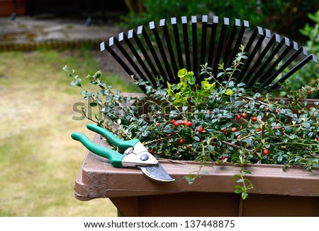 Stock image of garden clippings and secateurs with recycling container and lawn rake in the background. Copy space.