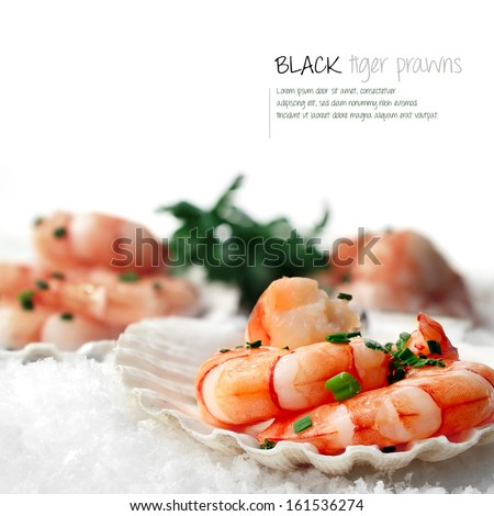 Macro Image Of Fresh Black Tiger Prawns In Scallop Shells Placed On White Snow. The Perfect Image For A Fish Restaurant Or Dinner Menu Cover. Copy Space.