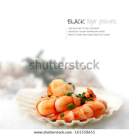 Macro Image Of Fresh Black Tiger Prawns In Scallop Shells Placed On White Snow. The Perfect Image For A Fish Restaurant Or Dinner Menu Cover. Copy Space.