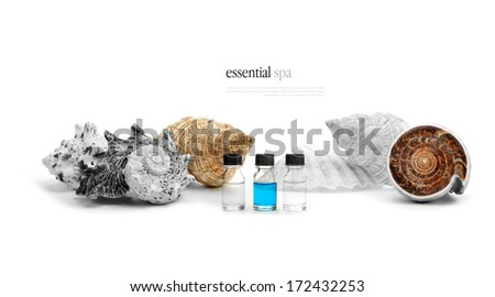 Concept banner image for essential spa. Sea shells and aromatherapy oils against a white background. The perfect image for a spa graphic display. Copy space.