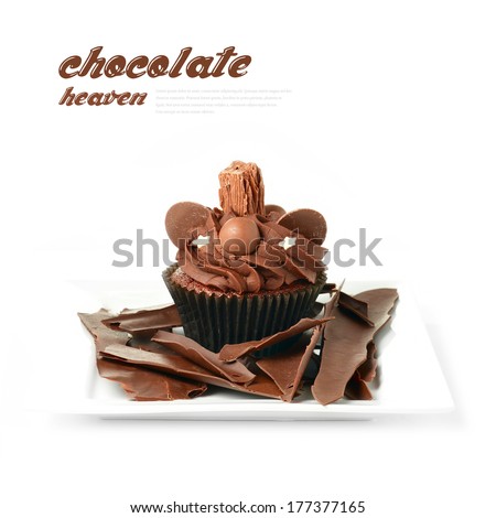 A picture of chocolate heaven. Chocolate cupcake covered in chocolate sprinkles and a chocolate flake placed on a plate smothered in additional shards of dark chocolate. Copy space.