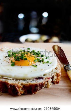 Fried egg, sunny side up, on a multi-grained slice of muesli bread seasoned with chopped chives and black pepper. Copy space.