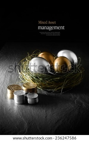 Concept image for mixed asset financial management. Mixed gold and silver goose eggs in a grass birds nest against a black background. Copy space.
