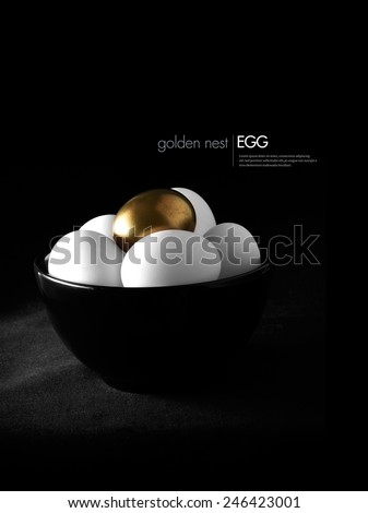 Concept image for pension fund or pension investments. Multiple white eggs with one highlighted gold egg against a dark background. Copy space.