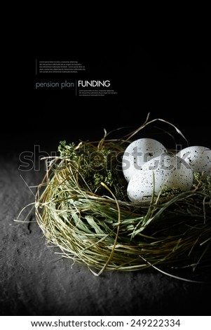 Concept image for financial asset management. White speckled  eggs in a grass bird\'s nest against a black background. Copy space.