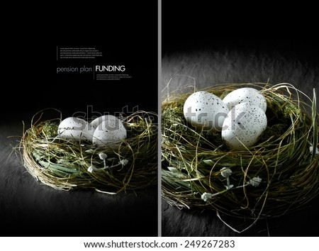 Dual image concept image for financial asset management. White speckled  eggs in a grass bird\'s nest against a black background. Copy space.