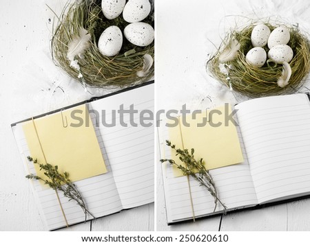 Rustic dual image of an open notebook with copy space and bird\'s nest with speckled white eggs against a white painted wood. Concept image for recipes, notes, memos or Easter. Copy space.