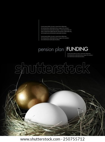 Concept image for mixed asset pension financial management. Mixed gold and white goose eggs in a grass birds nest against a black background. Copy space.