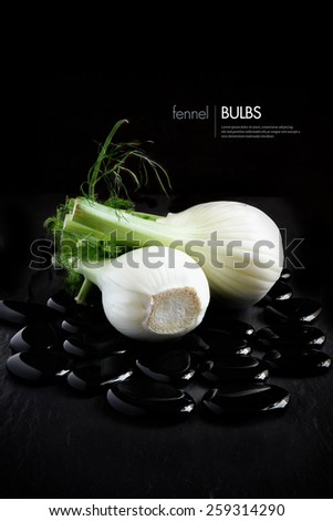 Fresh fennel bulbs against a black background placed on shiny black stones with reflections. Photographed in diffused, natural light with focus on the foreground. Copy space.