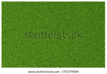 Top view angle of green grass meadow