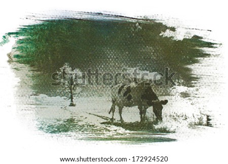 Cow with tree gum bichromate handmade print on white paper made by use of brush