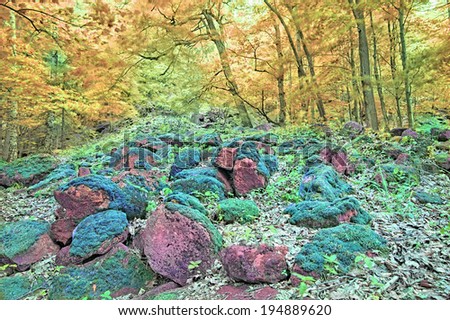 Psychedelic colors forest with rocks and moss HDR long time exposure on the wind