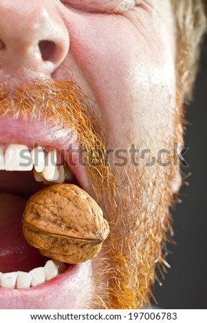 Walnut in teeth with red beard around the open lips closeup