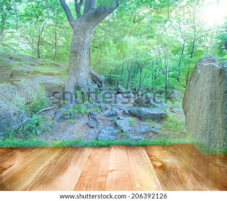 Big rock and big tree in a park made in  HDR with composited sun and wooden oak boards floor on sunset with light rays