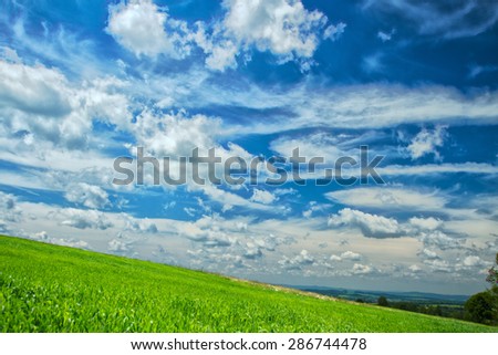 Funny clouds over green meadow under the blue sky