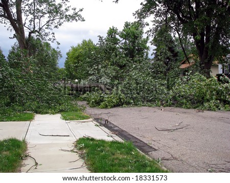 strong wind storm damage in midwest neighborhood