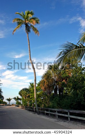 Colorful Tropical Street Landscape Leading To Ocean