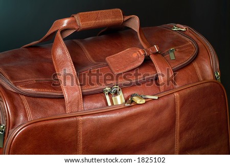 Brown leather travel bag
