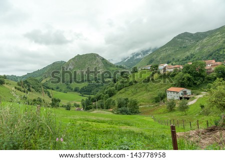 Rural landscape with village on a gray summer day