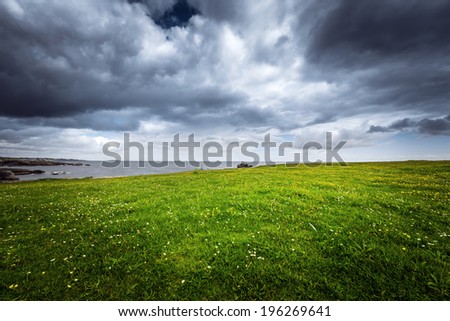 Beautiful coastal landscape with a green meadow and the ocean on a stormy weather