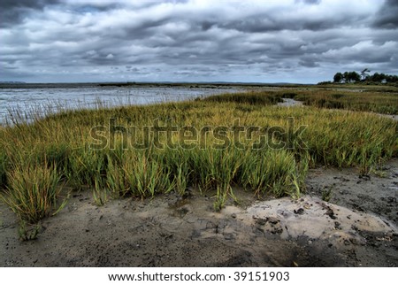 Upcoming storm in a  deserted beach at low tide