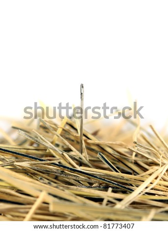 Needle in a haystack on white.