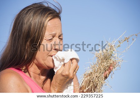 Portrait stressed mature woman suffering from seasonal hay fever allergy, holding bunch of dry straw grass, sneezing into handkerchief tissue, blurred outdoor background and copy space.
