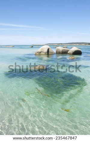 Crystal clear ocean water at Bay of Fire, Tasmania, Australia, with rocks and green sea weed, coastline and horizon, blue sky and copy space, popular holiday and tourist destination.