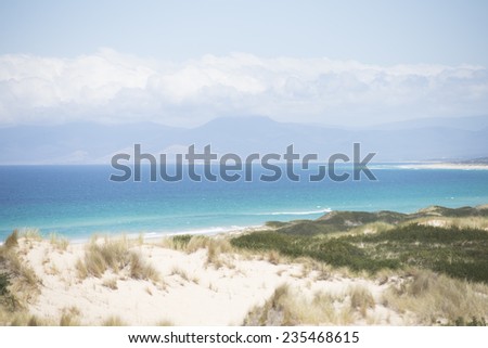 Coastline at Bay of Fires, Tasmania, Australia, at sunny summer day, with high sand dunes, turquoise ocean water, mountains as blurred background, copy space.