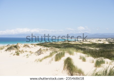 Scenic Coastline at Bay of Fires, Tasmania, Australia, at sunny summer day, with high sand dunes, turquoise ocean water, mountains as blurred background, copy space.