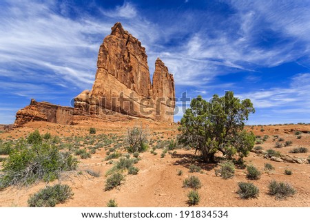 Hot environment with a plant and tall mountain rock in the desert