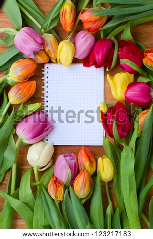 fresh spring tulips laying on wooden table with notebook