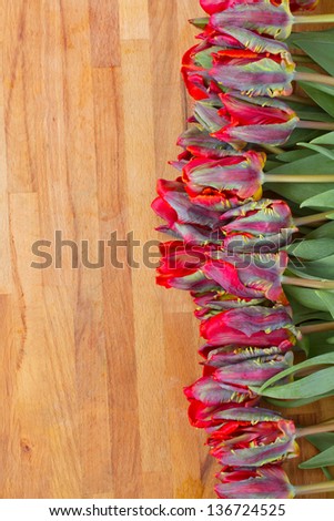 fresh red spring tulips laying on wooden table