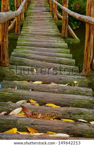 old wooden bridge over river in a forest
