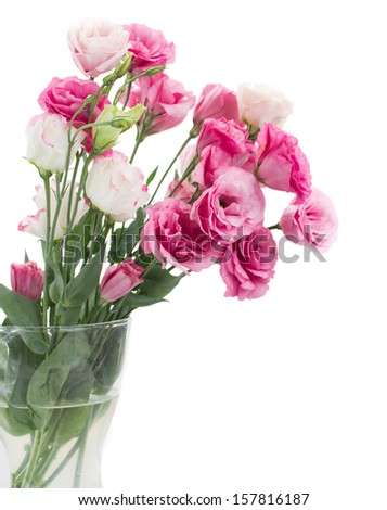 pink eustoma flowers in vase isolated on white background