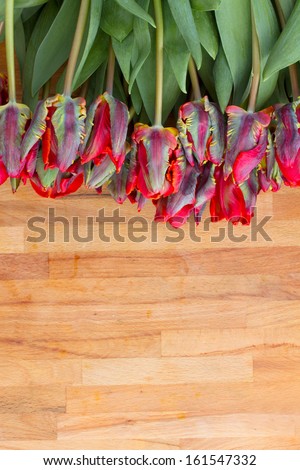 fresh red  tulips laying on wooden table