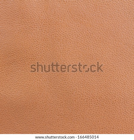 texture of brown pig leather background macro
