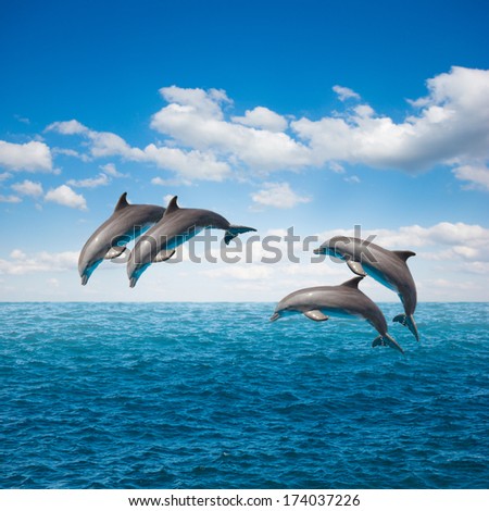 Pack Of Of Jumping Dolphins,Beautiful Seascape With Deep Ocean Waters And Cloudscape