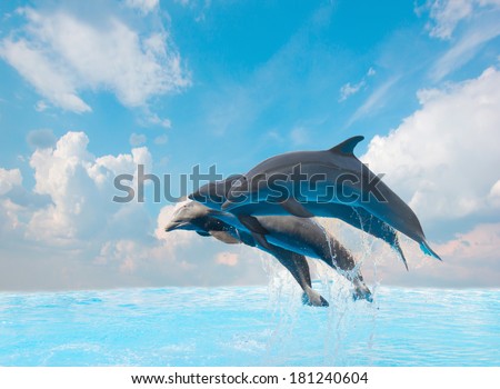 group of jumping dolphins,beautiful seascape with deep  ocean  waters and cloudscape