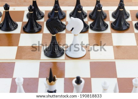 black and white knights  in front of black chess