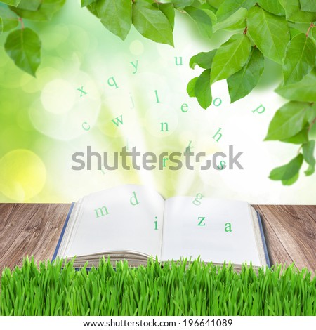 Open book in green garden on wooden planks with light and letters