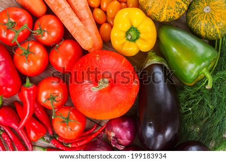ripe of fresh vegetables in rainbow colors   - pumpkin, tomatoes,  peppers,  onions, eggplants