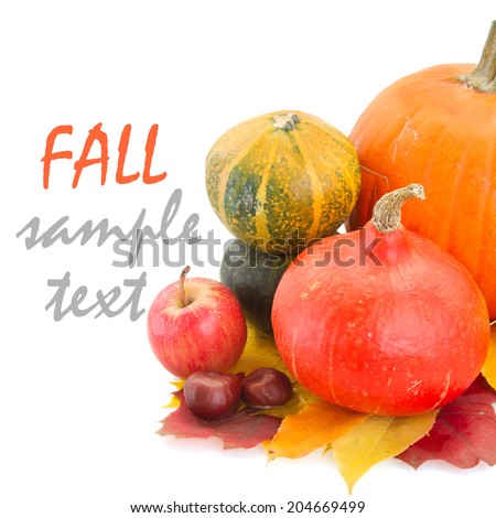 raw  pumpkins and fall leaves  isolated on white background